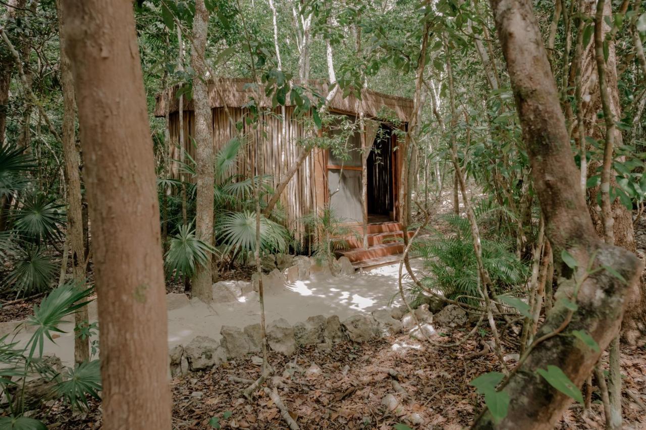 Naum - Secluded Villa With Private Cenote Tulum Eksteriør billede