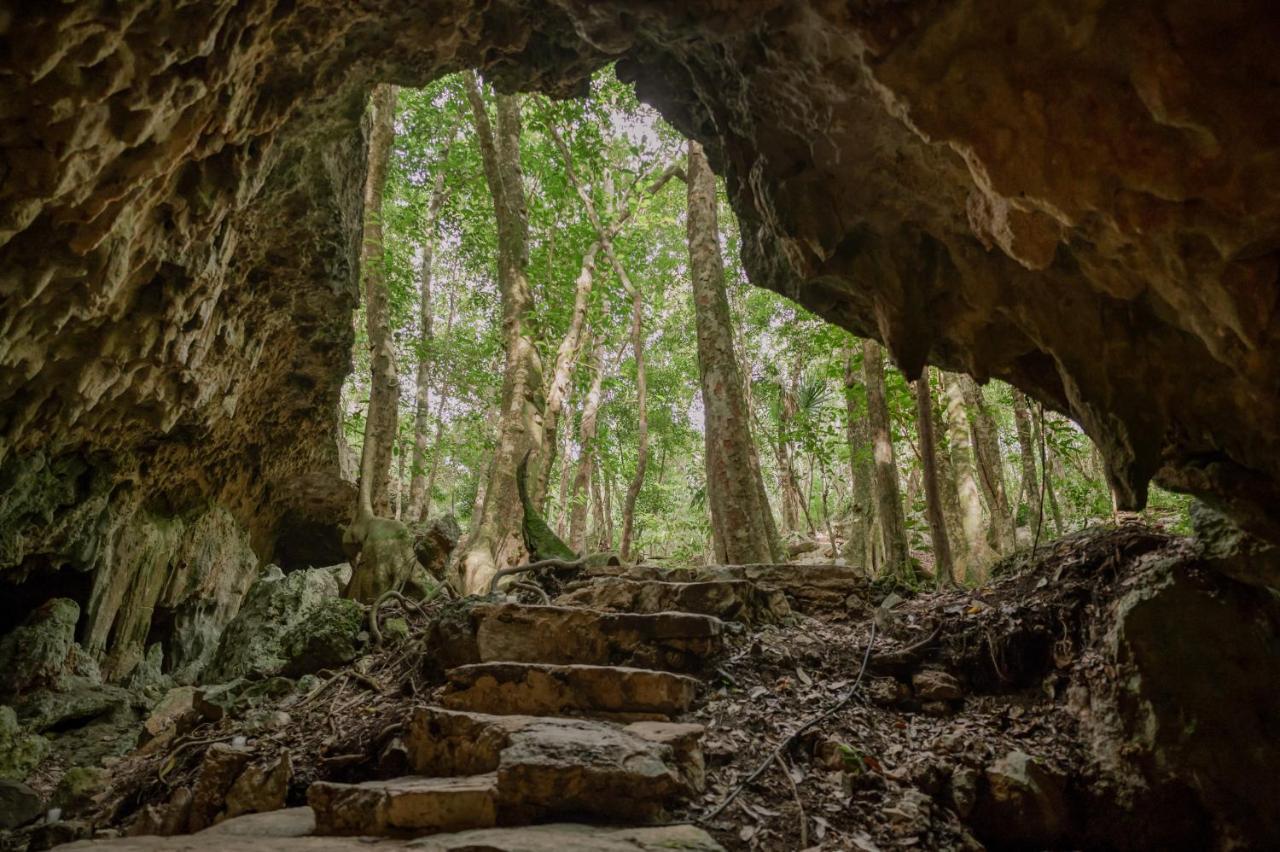 Naum - Secluded Villa With Private Cenote Tulum Eksteriør billede
