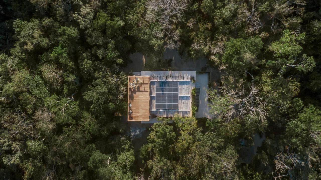 Naum - Secluded Villa With Private Cenote Tulum Eksteriør billede