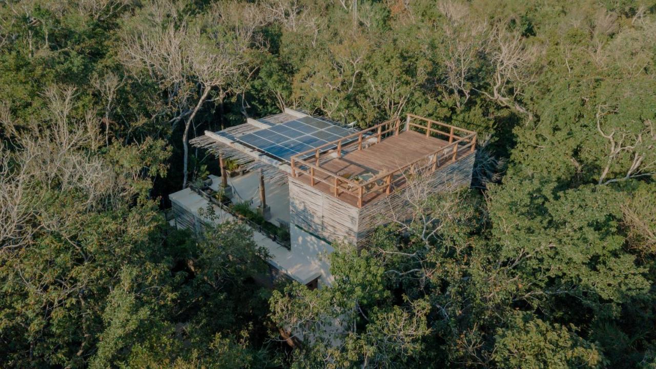Naum - Secluded Villa With Private Cenote Tulum Eksteriør billede