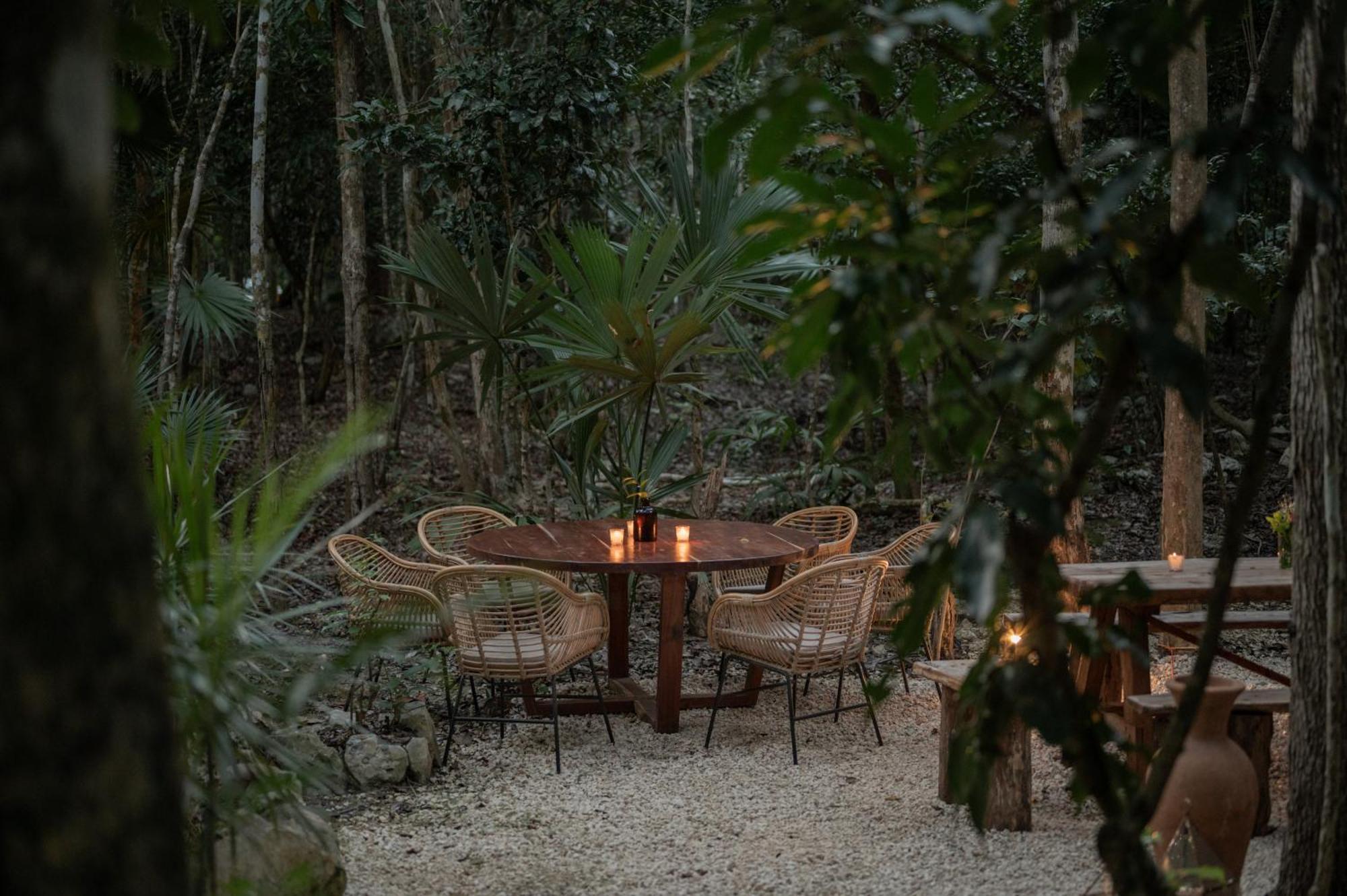 Naum - Secluded Villa With Private Cenote Tulum Eksteriør billede