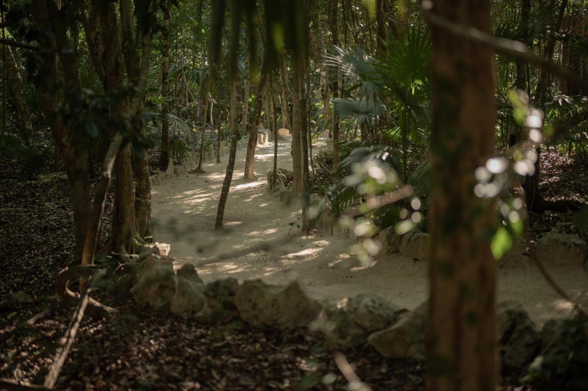 Naum - Secluded Villa With Private Cenote Tulum Eksteriør billede