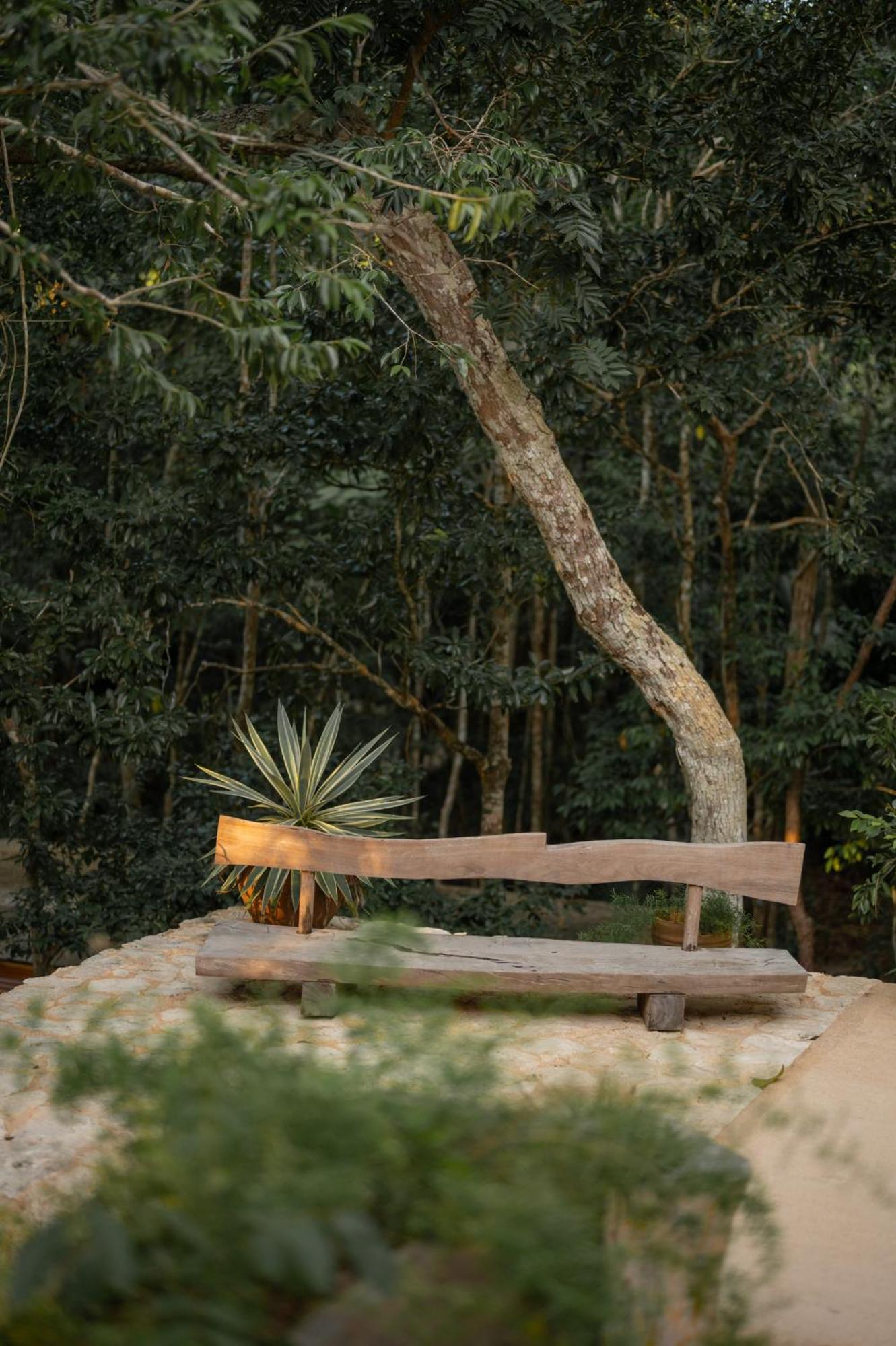 Naum - Secluded Villa With Private Cenote Tulum Eksteriør billede